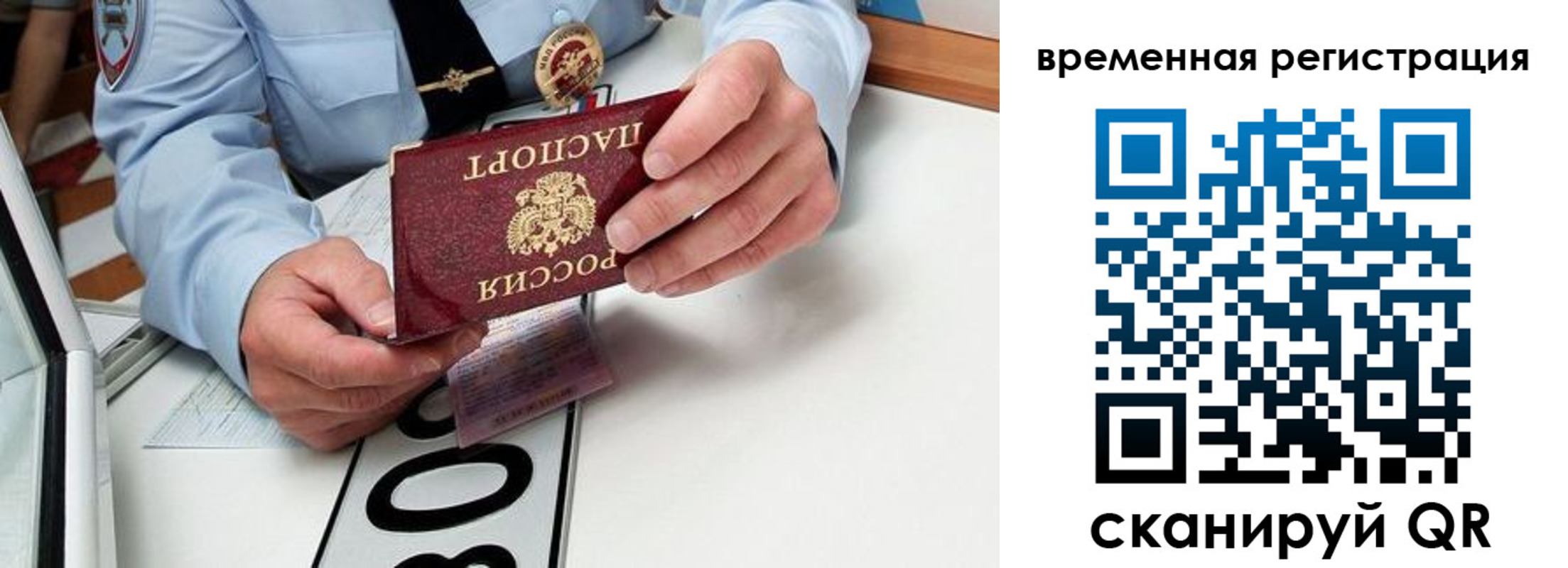 прописка гарантия в Хвалынске
